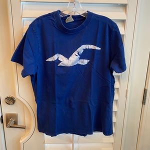 #1095 Hollister T-shirt